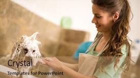  Presentation with dog bath - Slides having professional dog showering in bath background and a coral colored foreground