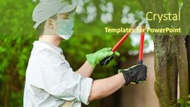  Presentation with tree - Cool new theme with professional-gardener-pruning-a-tree backdrop and a tawny brown colored foreground