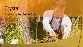  Presentation with taking care of children and parent - Slide deck with professional male gardener taking care background and a gold colored foreground