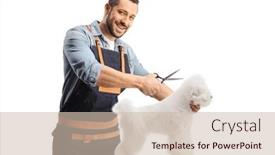  Presentation with professional grooming - PPT layouts having professional-pet-groomer-holding-scissors background and a soft green colored foreground