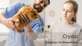  Presentation with veterinary pig - Audience pleasing slide deck consisting of professional veterinary clinician during medical backdrop and a light gray colored foreground