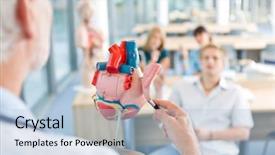  Presentation with professor - Amazing theme having professor showing model of heart backdrop and a light blue colored foreground