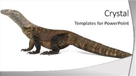  Presentation with dragon - Presentation theme featuring profile of a komodo dragon background and a  colored foreground