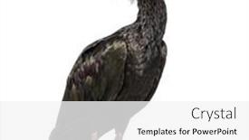  Presentation with soil profile - PPT theme with profile-portrait-of-a-northern background and a white colored foreground