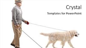  Presentation with blind - Slide set featuring profile shot of a blind background and a white colored foreground