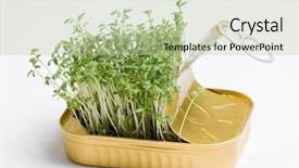  Presentation with profit - Cool new slide deck with profit shares - seedlings from can - healthy backdrop and a mint green colored foreground