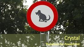  Presentation with dog park animal jack - Presentation theme having prohibition - signs for dog owners background and a tawny brown colored foreground