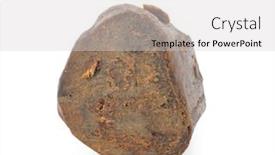  Presentation with bee propolis - PPT theme featuring propolis bee background and a light gray colored foreground