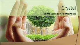  Presentation with prosperity - PPT layouts enhanced with prosperity - small tree plant background and a mint green colored foreground