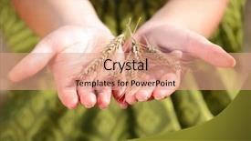  Presentation with crop - Slides enhanced with prosperous 2011 - picture of a handful background and a  colored foreground