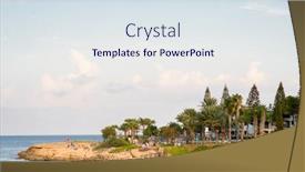  Presentation with fig tree - 