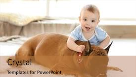  Presentation with boxer dog - PPT layouts having proteccion animal - little baby boy with boxer background and a gold colored foreground