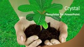  Presentation with plant - Presentation theme enhanced with protecting environment - plant in a hand isolated background and a forest green colored foreground