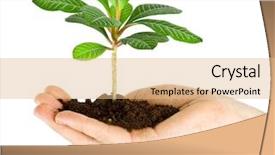  Presentation with plant roots - Amazing presentation theme having plant in a hand isolated backdrop and a coral colored foreground