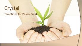  Presentation with plant - Beautiful presentation featuring protecting environment - plant in female hands isolated backdrop and a  colored foreground