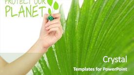 Presentation with hand palm - PPT layouts having protect our planet text background and a tawny brown colored foreground