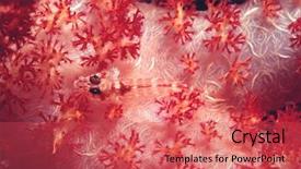  Presentation with wolf - Slide set with protecting fish - wolf goby luposicya lupus camouflaged background and a red colored foreground