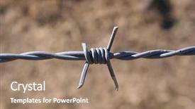  Presentation with spider - Amazing slides having protecting perimeter - strand of barbed wire backdrop and a coral colored foreground
