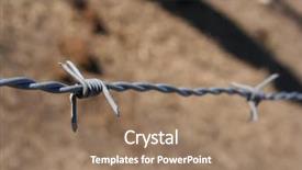  Presentation with spider - Beautiful slide deck featuring protecting perimeter - strand of barbed wire backdrop and a coral colored foreground