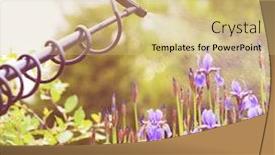  Presentation with sprayer - Slides enhanced with protecting-plants-from-vermin background and a soft green colored foreground