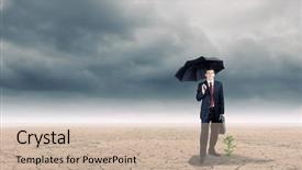  Presentation with seedling - Presentation design with protecting sprout growing in desert background and a  colored foreground