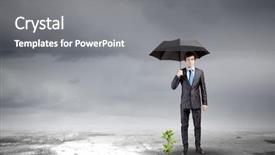  Presentation with seedling - Audience pleasing PPT theme consisting of protecting sprout growing in desert backdrop and a gray colored foreground