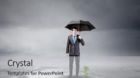  Presentation with sprout - Slide set featuring protecting sprout growing in desert background and a light gray colored foreground