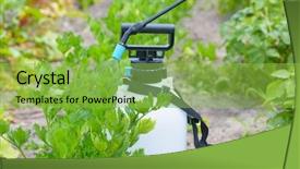  Presentation with agricultural products - Audience pleasing PPT layouts consisting of protection products such as pest backdrop and a yellow colored foreground