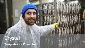  Presentation with staff - PPT theme having happy young staff in coveralls working in fish smoke department background and a tawny brown colored foreground