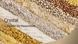  Presentation with rice grain - Slide deck with protein structure - striped rows of dry groats background and a coral colored foreground