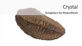  Presentation with nut - Colorful slide deck enhanced with protien - brazil nut on white background backdrop and a white colored foreground