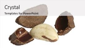  Presentation with nuts - Colorful PPT theme enhanced with protien - brazilian nuts on white backdrop and a white colored foreground