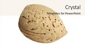  Presentation with nut - PPT theme consisting of protien - nut on white background background and a  colored foreground