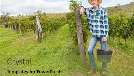  Presentation with winery - Theme having proud-winegrower-on-his-winery background and a gold colored foreground