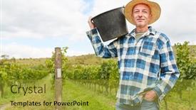 Presentation with harvest - Audience pleasing slides consisting of proud-winegrower-or-harvest-helper backdrop and a gold colored foreground