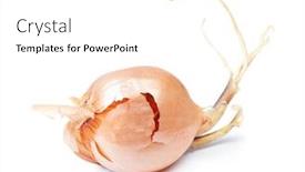  Presentation with onion - PPT theme consisting of prouted-dried-onion-isolated background and a white colored foreground