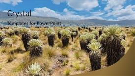  Presentation with colombia - Amazing PPT layouts having proyectos - espeletia frailejones of the paramo backdrop and a light blue colored foreground