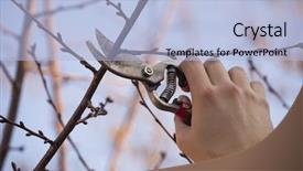  Presentation with fruit tree - PPT theme featuring beautiful gothic castle veveri the city of brno at the brno dam south moravia - czech republic - central europe spring landscape background and a tawny brown colored foreground