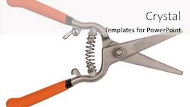  Presentation with fruit - Beautiful theme featuring pruning-shear-device-scissors backdrop and a white colored foreground