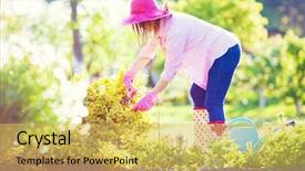  Presentation with plant maintenance - Theme consisting of bitterswett - woman wearing wellies hat background and a yellow colored foreground