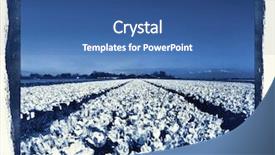  Presentation with reproduction - Beautiful slides featuring prussian - cyanotype photographic reproduction floral backdrop and a  colored foreground