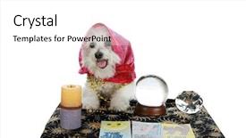  Presentation with psychic - Slides with psychic pet or fortune teller background and a white colored foreground