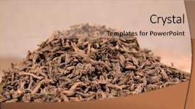  Presentation with leaves - Amazing PPT theme having pu-erh leaves backdrop and a coral colored foreground