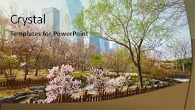  Presentation with sakura - Theme featuring public park in seoul korea background and a mint green colored foreground