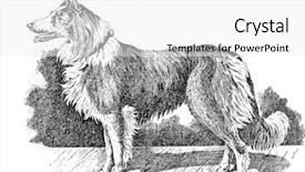  Presentation with scotch - Slide deck consisting of publishing house a f marx background and a white colored foreground