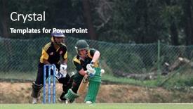  Presentation with cricket - Amazing PPT theme having puchong-malaysia-sept-24-guernsey backdrop and a wine colored foreground