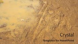  Presentation with kao tom mud - Audience pleasing presentation theme consisting of puddle of rainwater and mud backdrop and a coral colored foreground