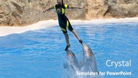  Presentation with dolphin - Theme having puerto-de-la-cruz-tenerife background and a teal colored foreground