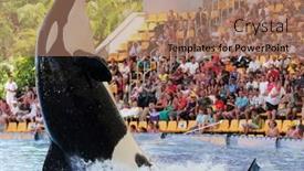  Presentation with august - Theme having puerto-de-la-cruz-tenerife background and a coral colored foreground