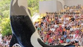  Presentation with august - Audience pleasing PPT layouts consisting of puerto-de-la-cruz-tenerife backdrop and a coral colored foreground